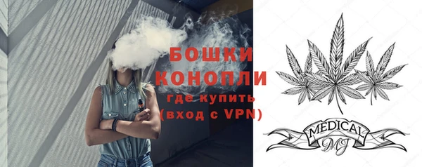 Альфа ПВП Магас