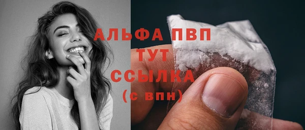 прущие крисы Магадан