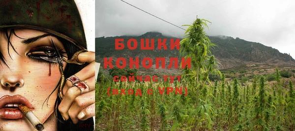 прущие крисы Магадан