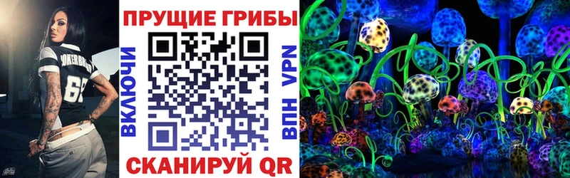 Купить  Южно-Сухокумск  Галлюциногенные грибы прущие грибы 
